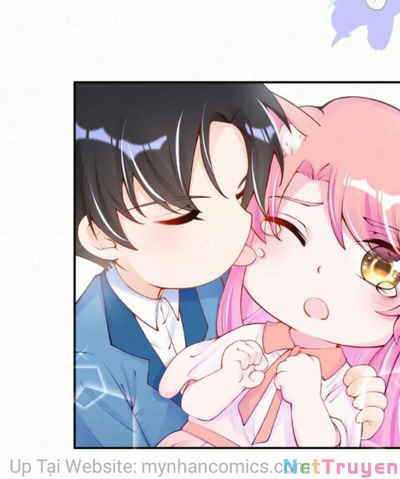 Mami Đột Kích, Thiên Tài Manh Bảo Khốc Daddy Chapter 102.1 - 19