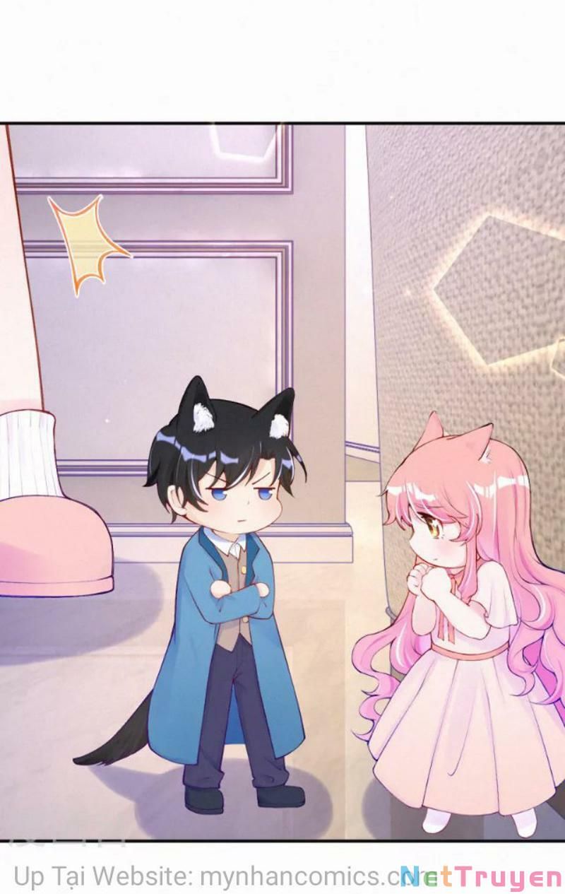 Mami Đột Kích, Thiên Tài Manh Bảo Khốc Daddy Chapter 102.1 - 7