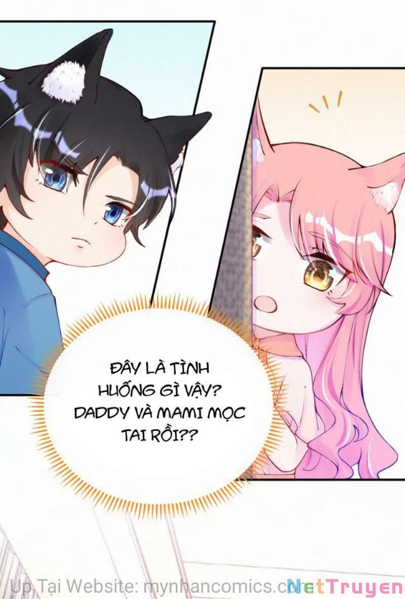 Mami Đột Kích, Thiên Tài Manh Bảo Khốc Daddy Chapter 102.1 - 8