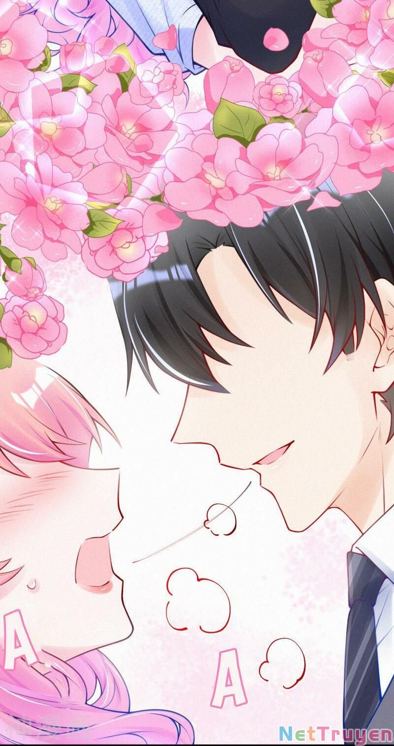 Mami Đột Kích, Thiên Tài Manh Bảo Khốc Daddy Chapter 19 - 41