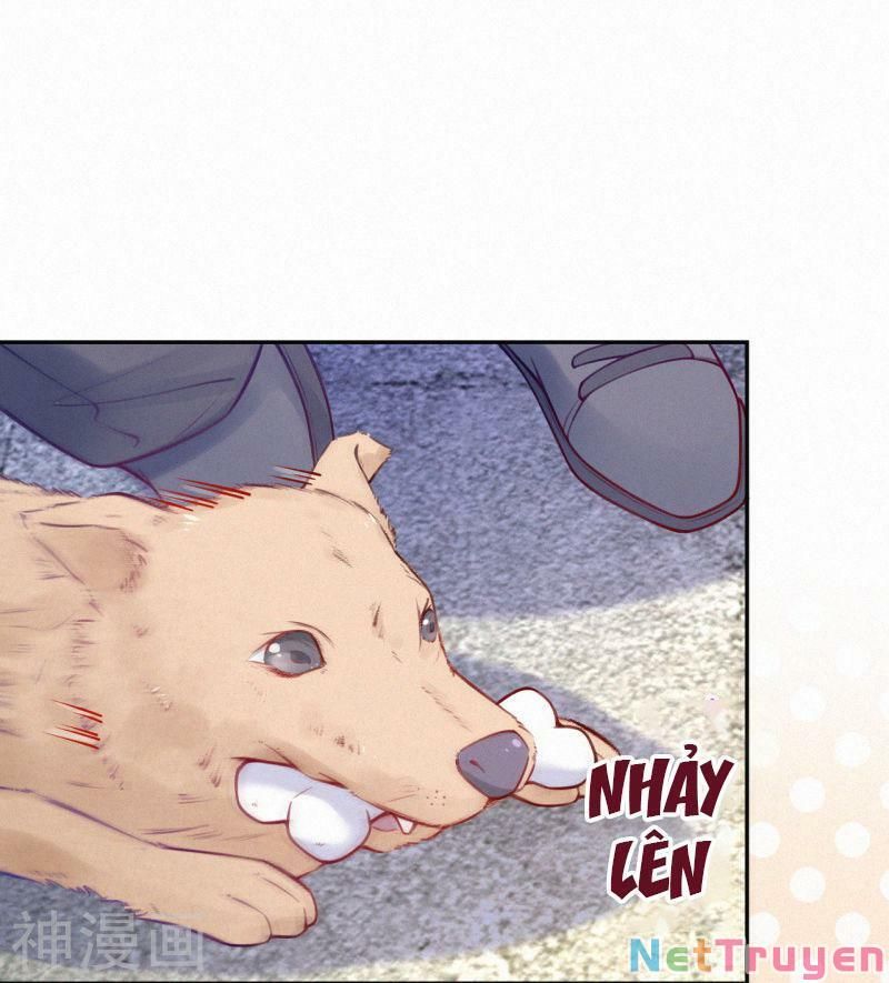 Mami Đột Kích, Thiên Tài Manh Bảo Khốc Daddy Chapter 21 - 29