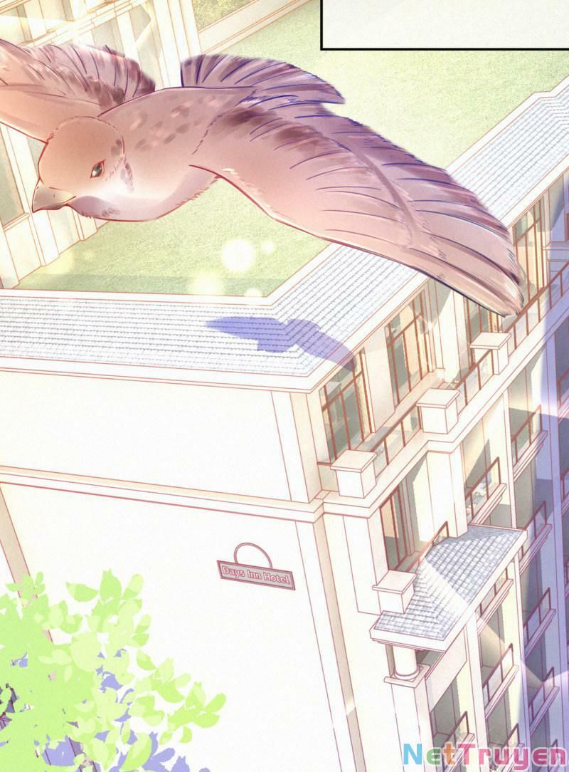 Mami Đột Kích, Thiên Tài Manh Bảo Khốc Daddy Chapter 24 - 13