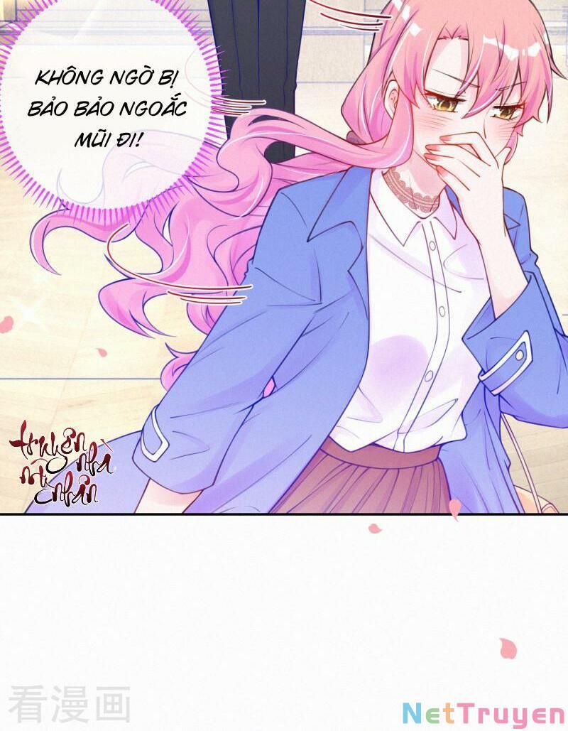 Mami Đột Kích, Thiên Tài Manh Bảo Khốc Daddy Chapter 30 - 5