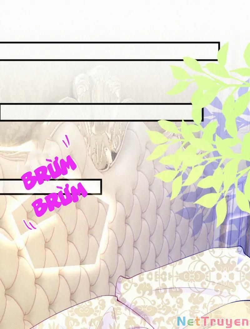 Mami Đột Kích, Thiên Tài Manh Bảo Khốc Daddy Chapter 42 - 14