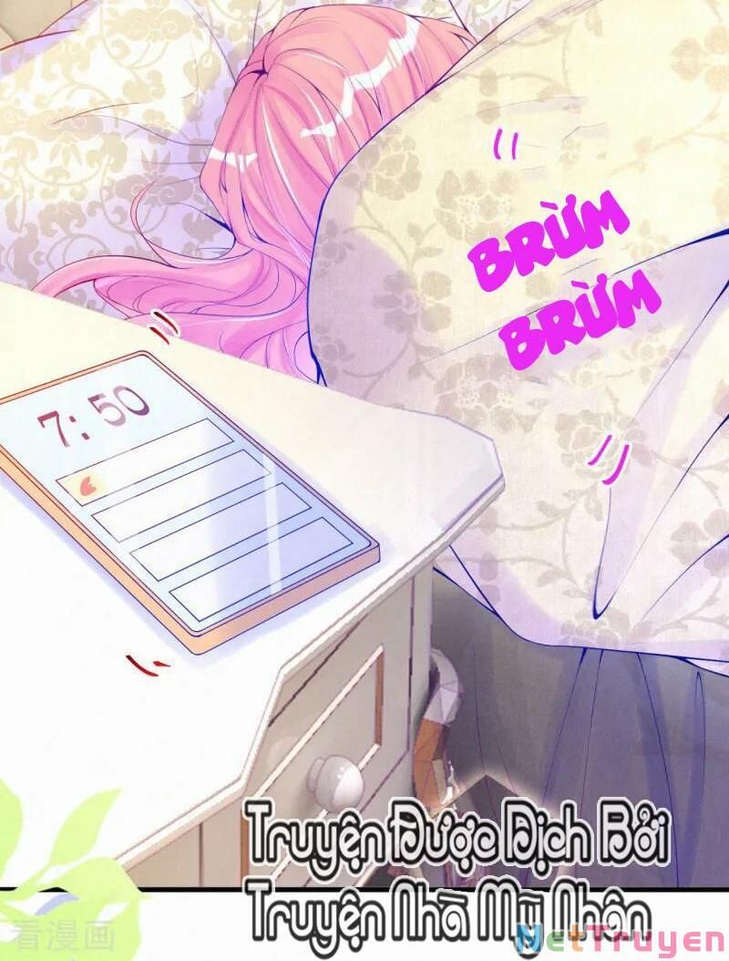 Mami Đột Kích, Thiên Tài Manh Bảo Khốc Daddy Chapter 42 - 15