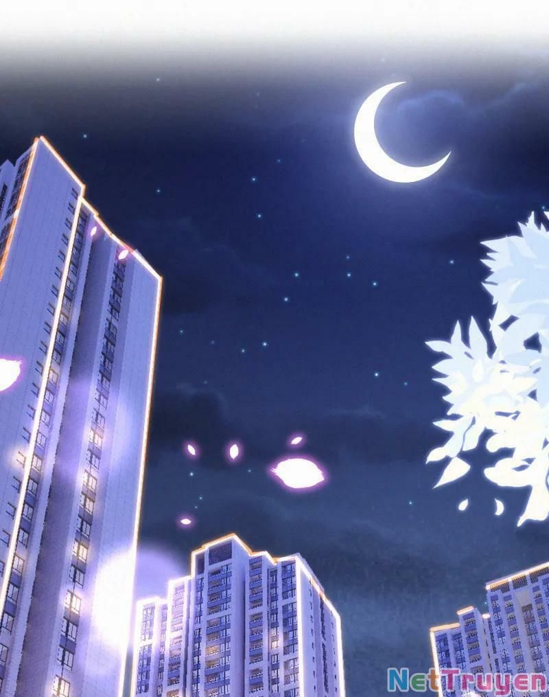 Mami Đột Kích, Thiên Tài Manh Bảo Khốc Daddy Chapter 47 - 18