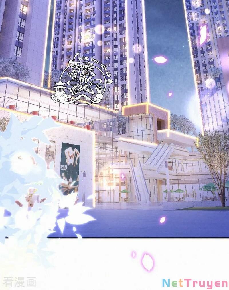 Mami Đột Kích, Thiên Tài Manh Bảo Khốc Daddy Chapter 47 - 19