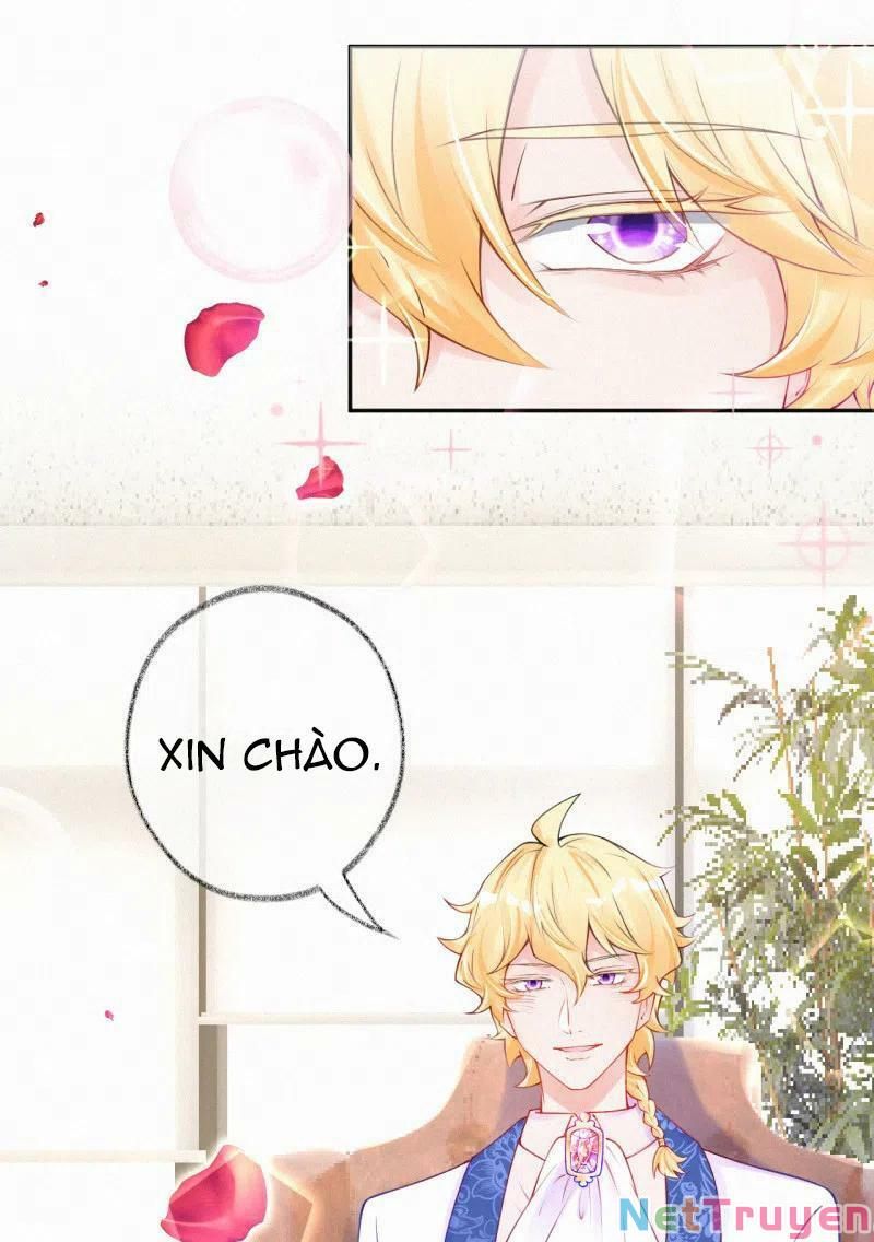 Mami Đột Kích, Thiên Tài Manh Bảo Khốc Daddy Chapter 53 - 8