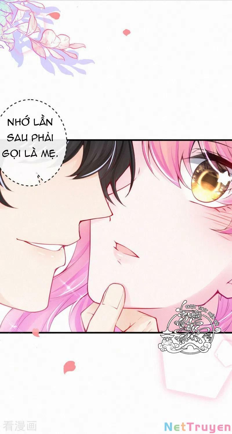 Mami Đột Kích, Thiên Tài Manh Bảo Khốc Daddy Chapter 62 - 21