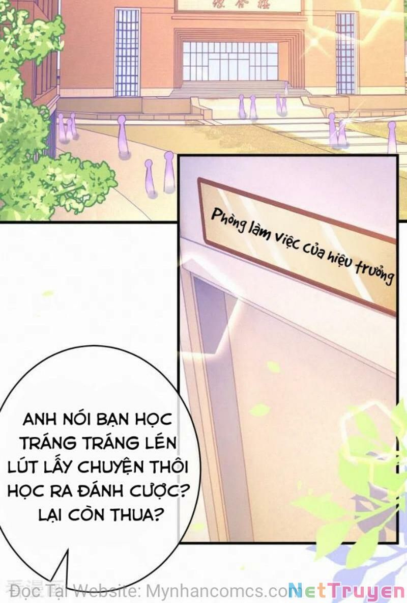 Mami Đột Kích, Thiên Tài Manh Bảo Khốc Daddy Chapter 91 - 5