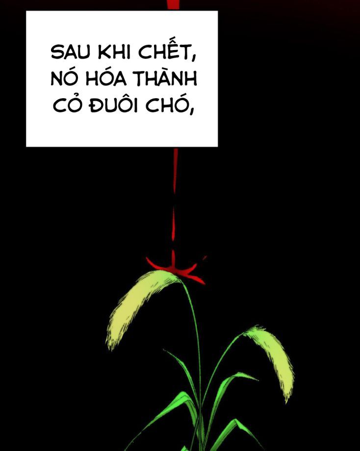 Ô Y Hạng Chi Tù Ái Chapter 7 - 66