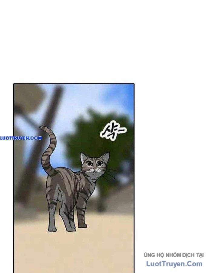 Thần Chết Bậc Thầy Của Âm Giới Chapter 9 - 22