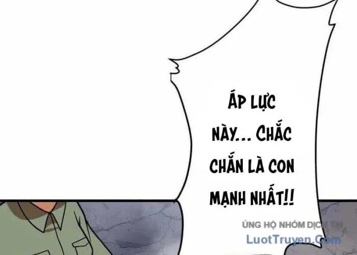 Phản Anh Hùng: Kẻ Dưới Đáy Hệ Thống Chức Nghiệp Chapter 8 - 244