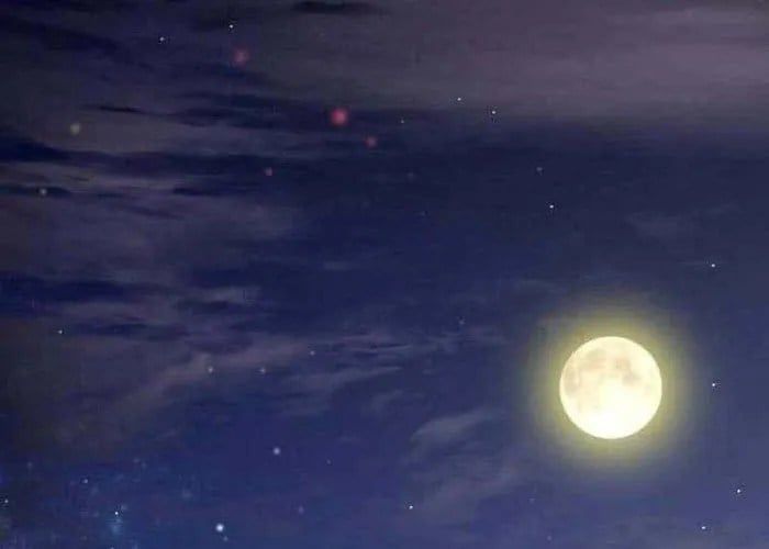 Phản Anh Hùng: Kẻ Dưới Đáy Hệ Thống Chức Nghiệp Chapter 8 - 323