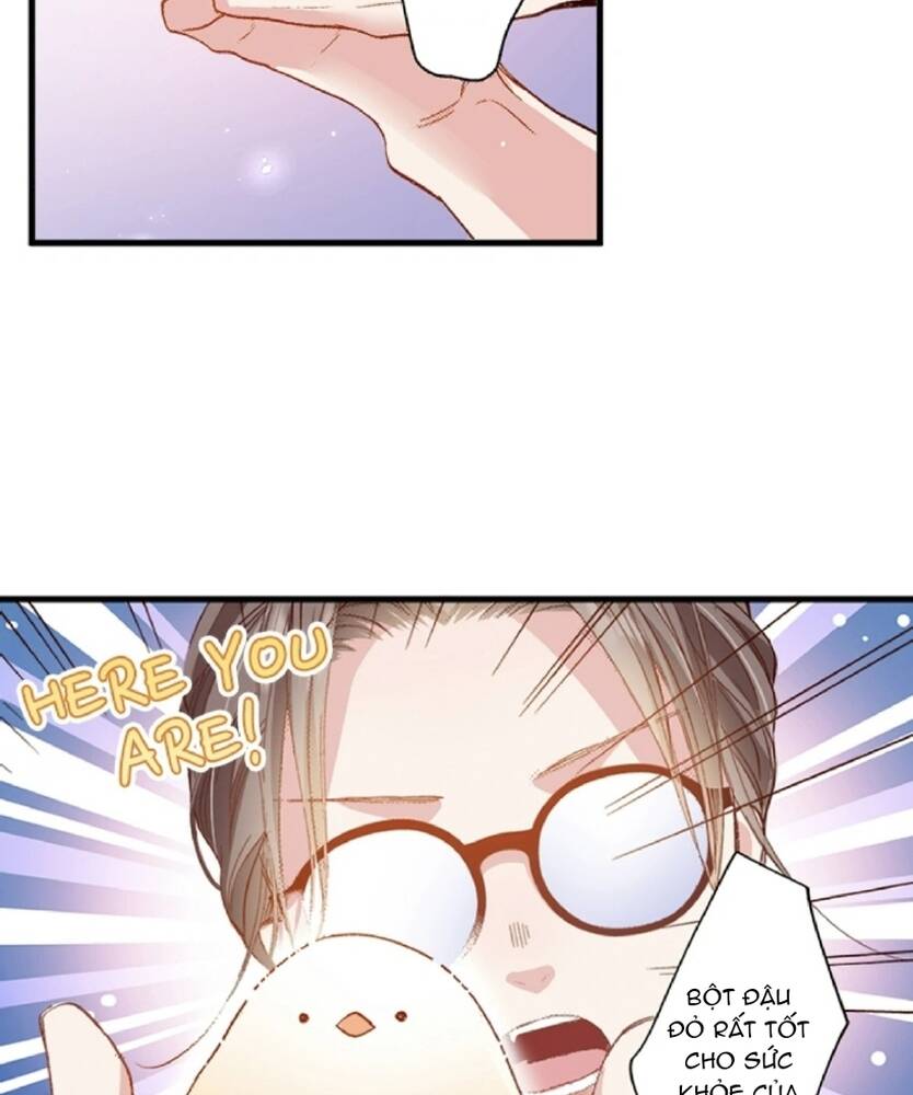 Tối Nay Hãy Đến Nhé:hâm Nóng Trái Tim Băng Giá Của Chàng Chapter 2 - 18