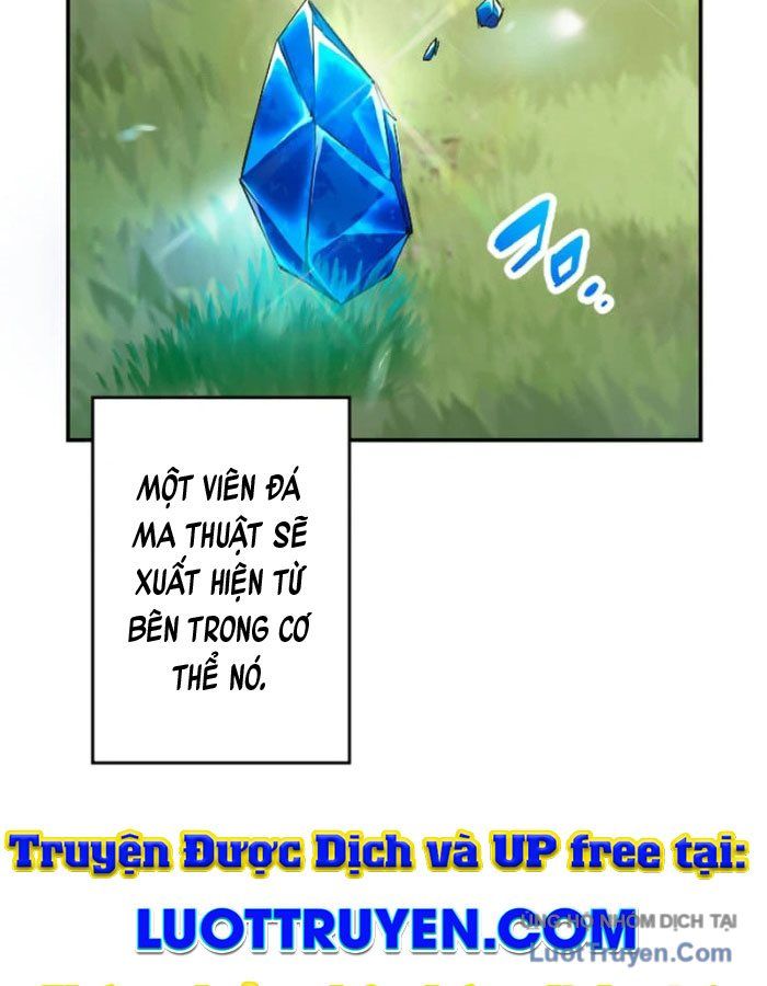 Đại Hiền Giả Sở Hữu Trăm Ma Thạch Chapter 1 - 13