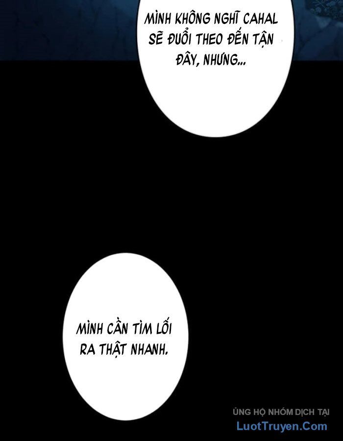 Đại Hiền Giả Sở Hữu Trăm Ma Thạch Chapter 1 - 162