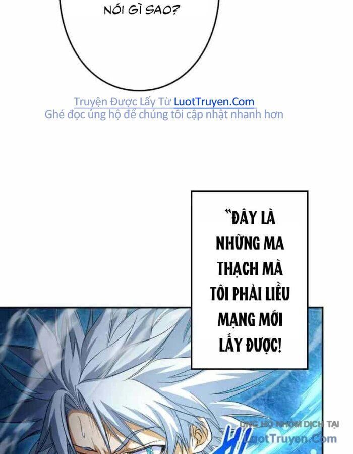 Đại Hiền Giả Sở Hữu Trăm Ma Thạch Chapter 4 - 11