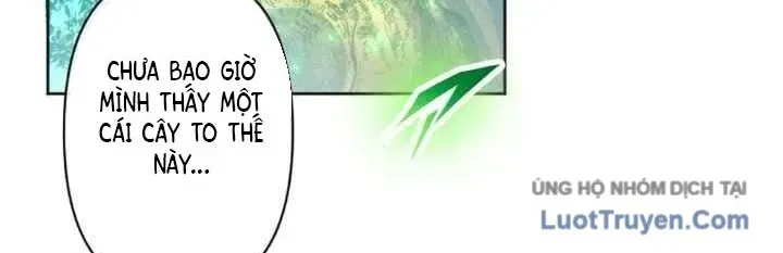 Đại Hiền Giả Sở Hữu Trăm Ma Thạch Chapter 7 - 229