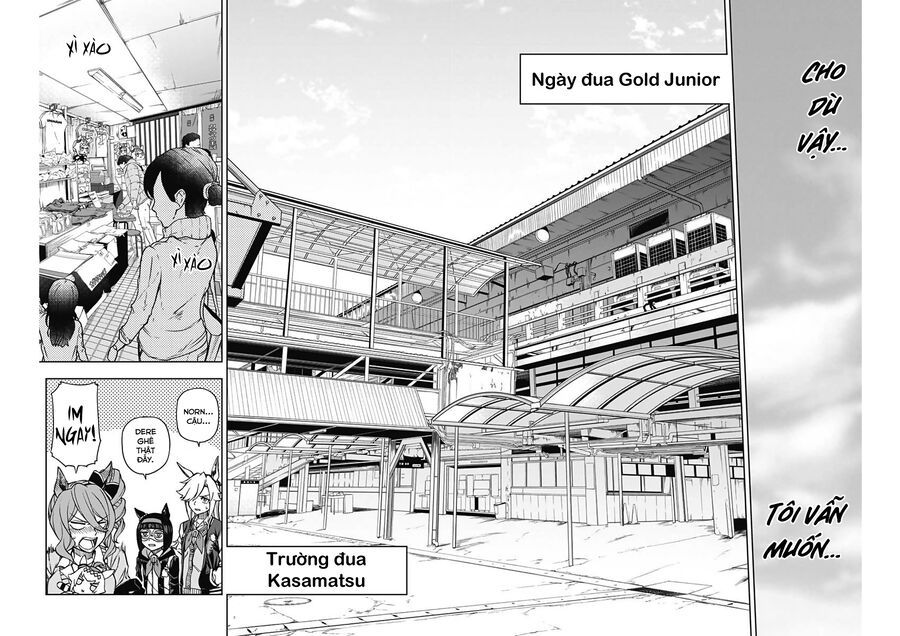 Uma Musume: Cinderella Gray Chapter 13 - 6