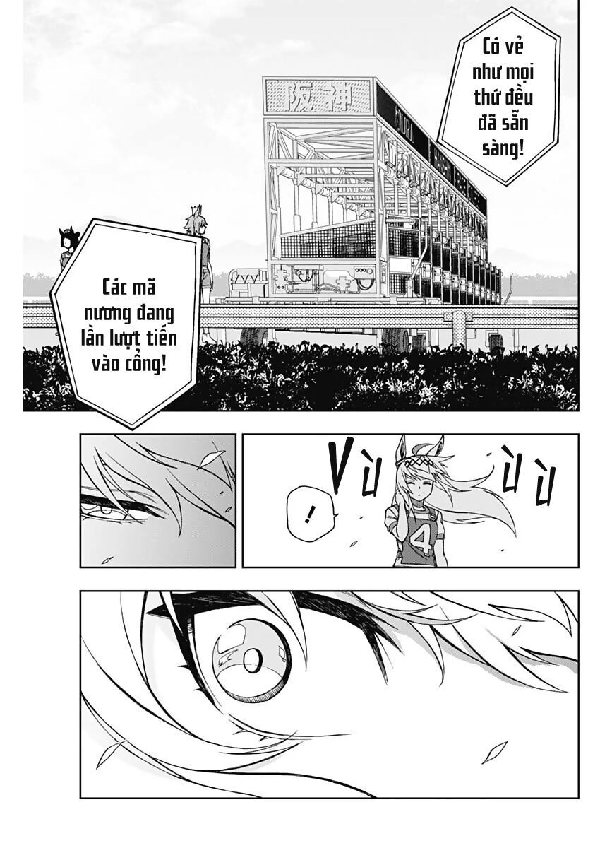 Uma Musume: Cinderella Gray Chapter 20 - 11