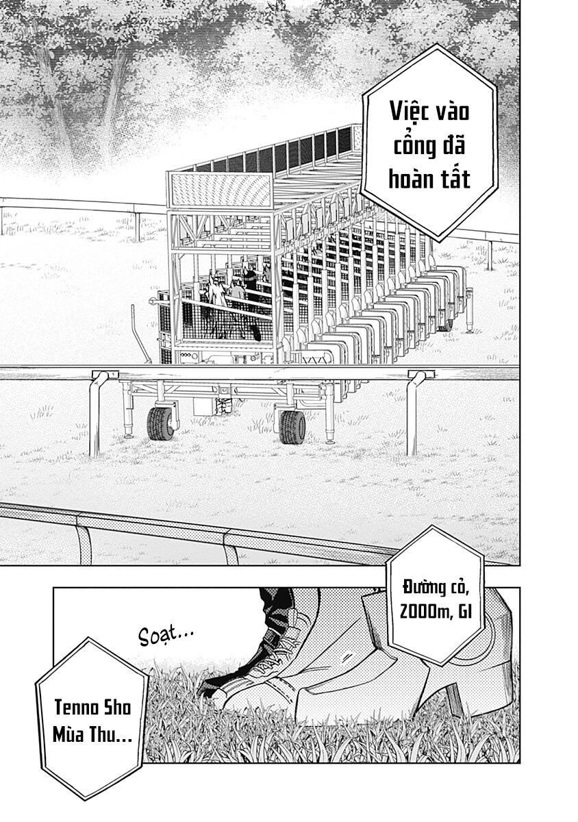 Uma Musume: Cinderella Gray Chapter 37 - 9