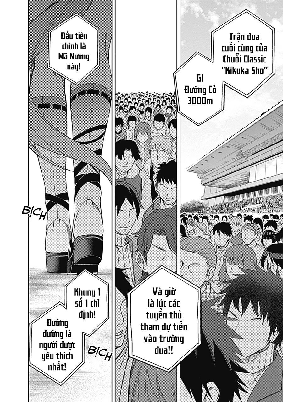 Uma Musume: Cinderella Gray Chapter 45 - 11