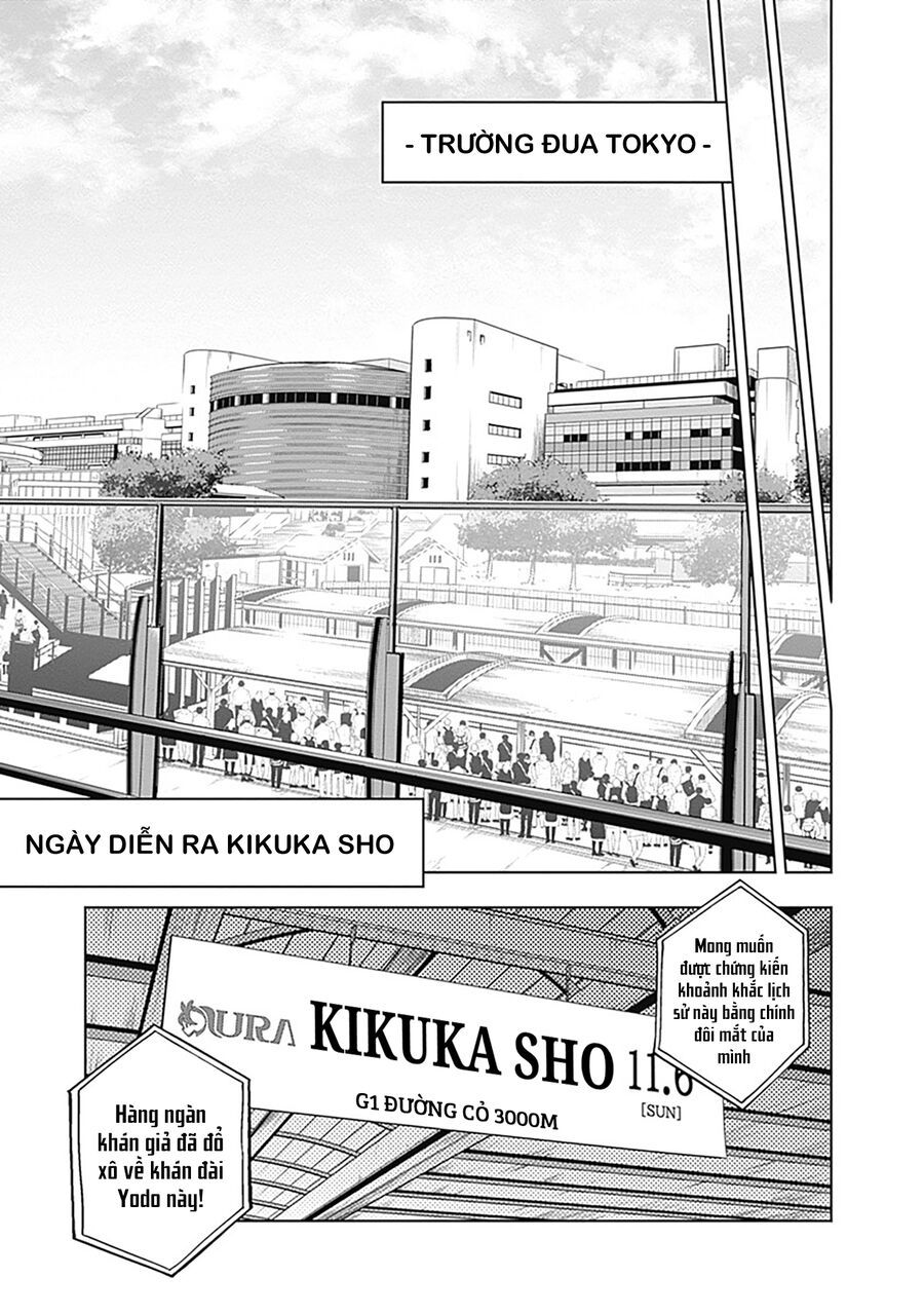 Uma Musume: Cinderella Gray Chapter 45 - 10