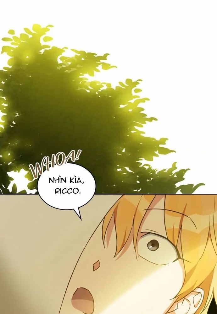 Chiến Lợi Phẩm Của Nữ Công Tước Chapter 19 - 43