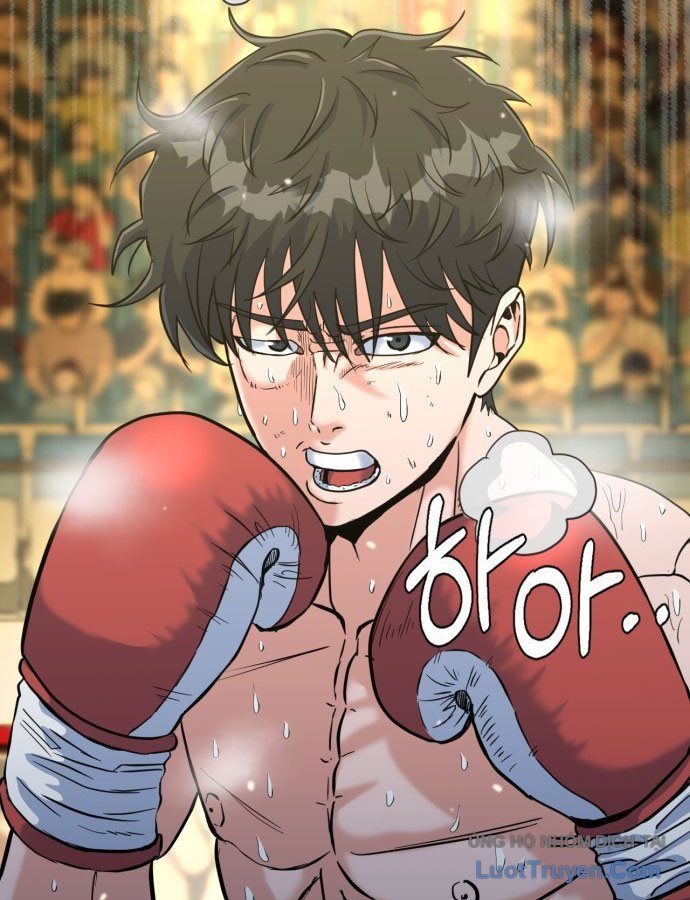 Under Boxer Chapter 1 - 6