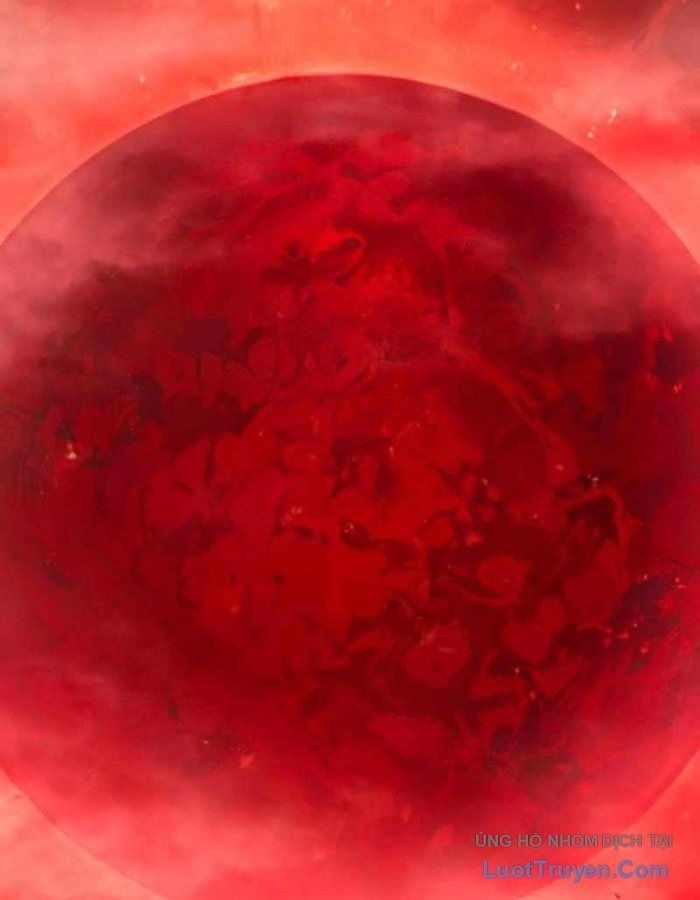 Hiệp Sĩ Hạng Thấp Vô Địch Với Hỏa Diễm Cấm Kỵ Chapter 1 - 48