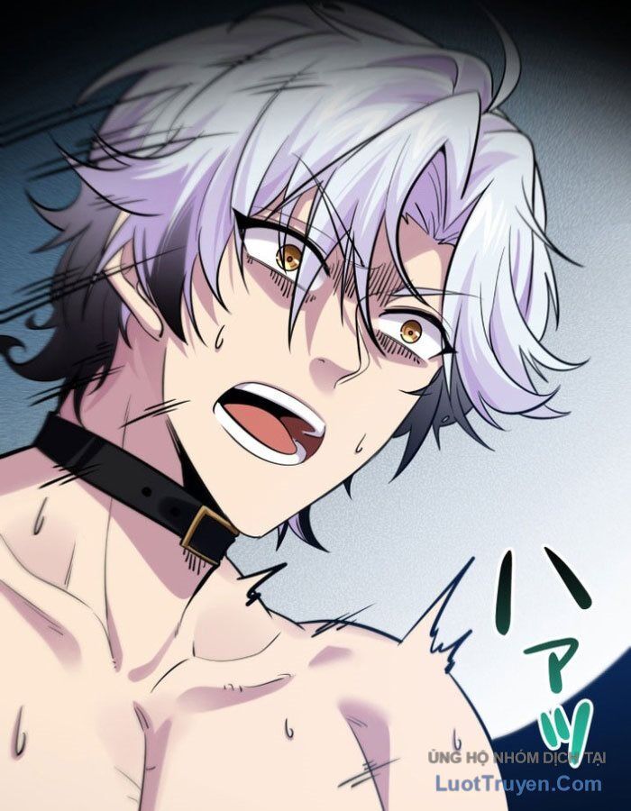 Hiệp Sĩ Chân Lý Chapter 1 - 9