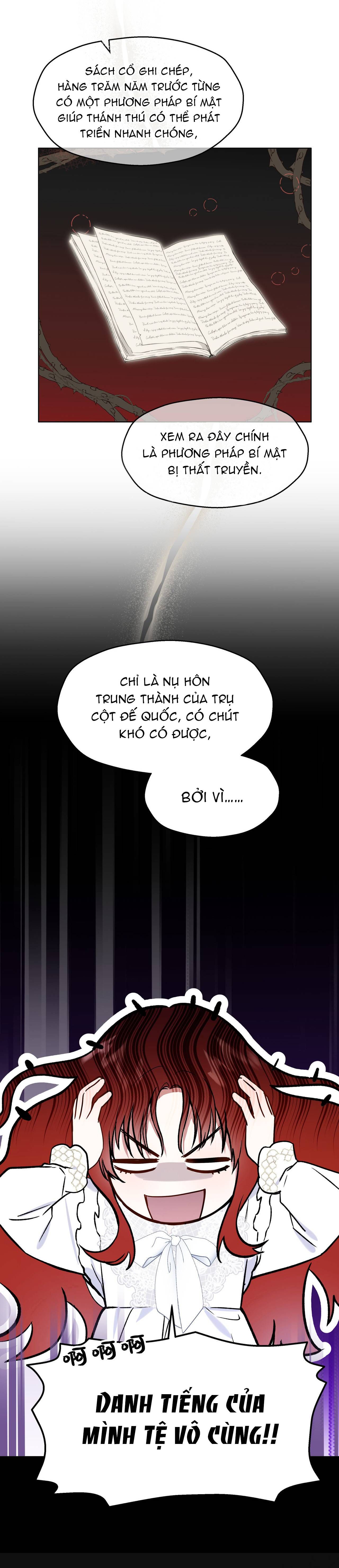 Cô Ấy Sẽ Thuần Phục Anh Hùng Chapter 2 - 12