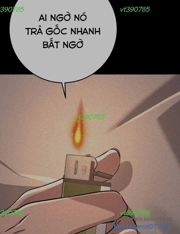 Vương Hậu Đi Học Chapter 50 - 4