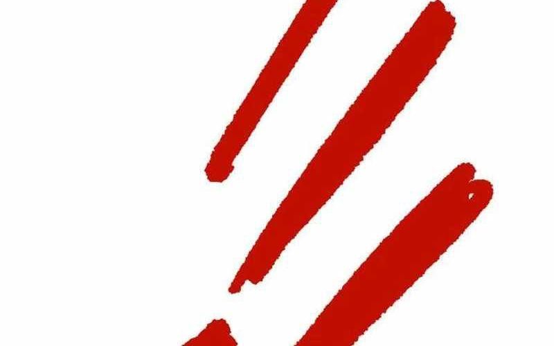 Chiến Binh Cariel Chapter 1 - 133