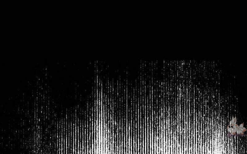 Chiến Binh Cariel Chapter 1 - 246