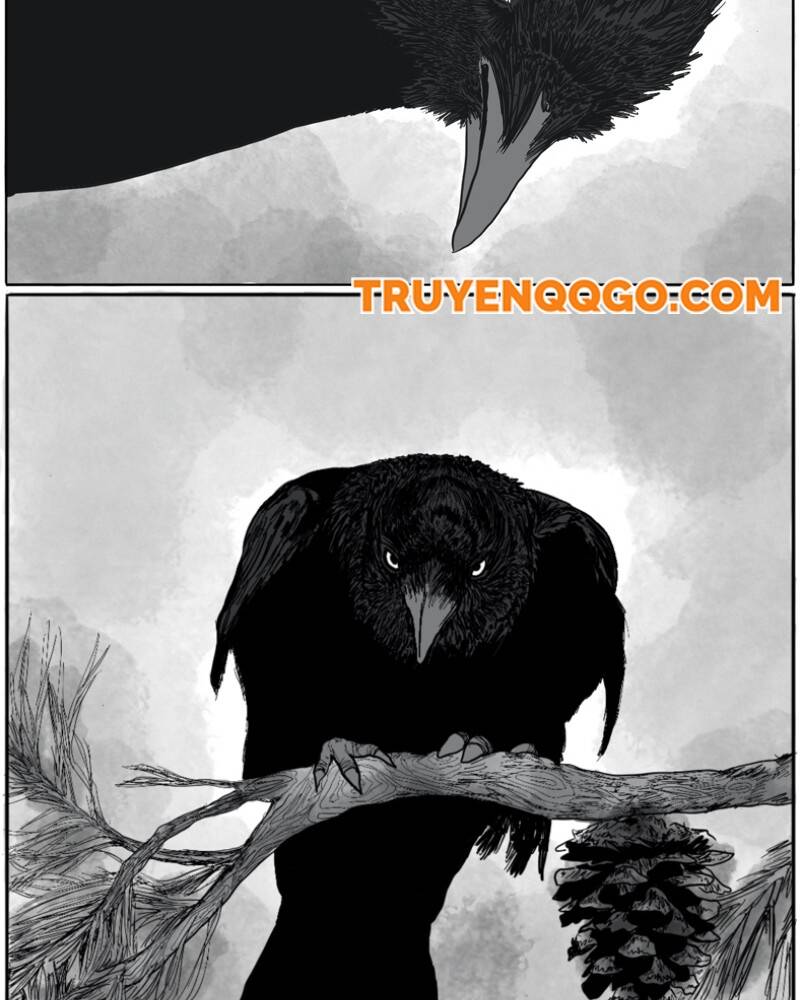 Radkaq Chapter 3 - 6