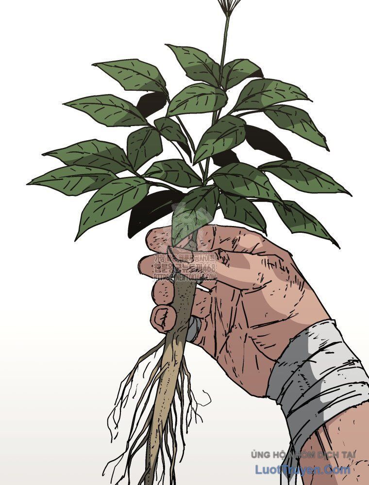 Quân Lâm Thiên Hạ 2 Chapter 3 - 63