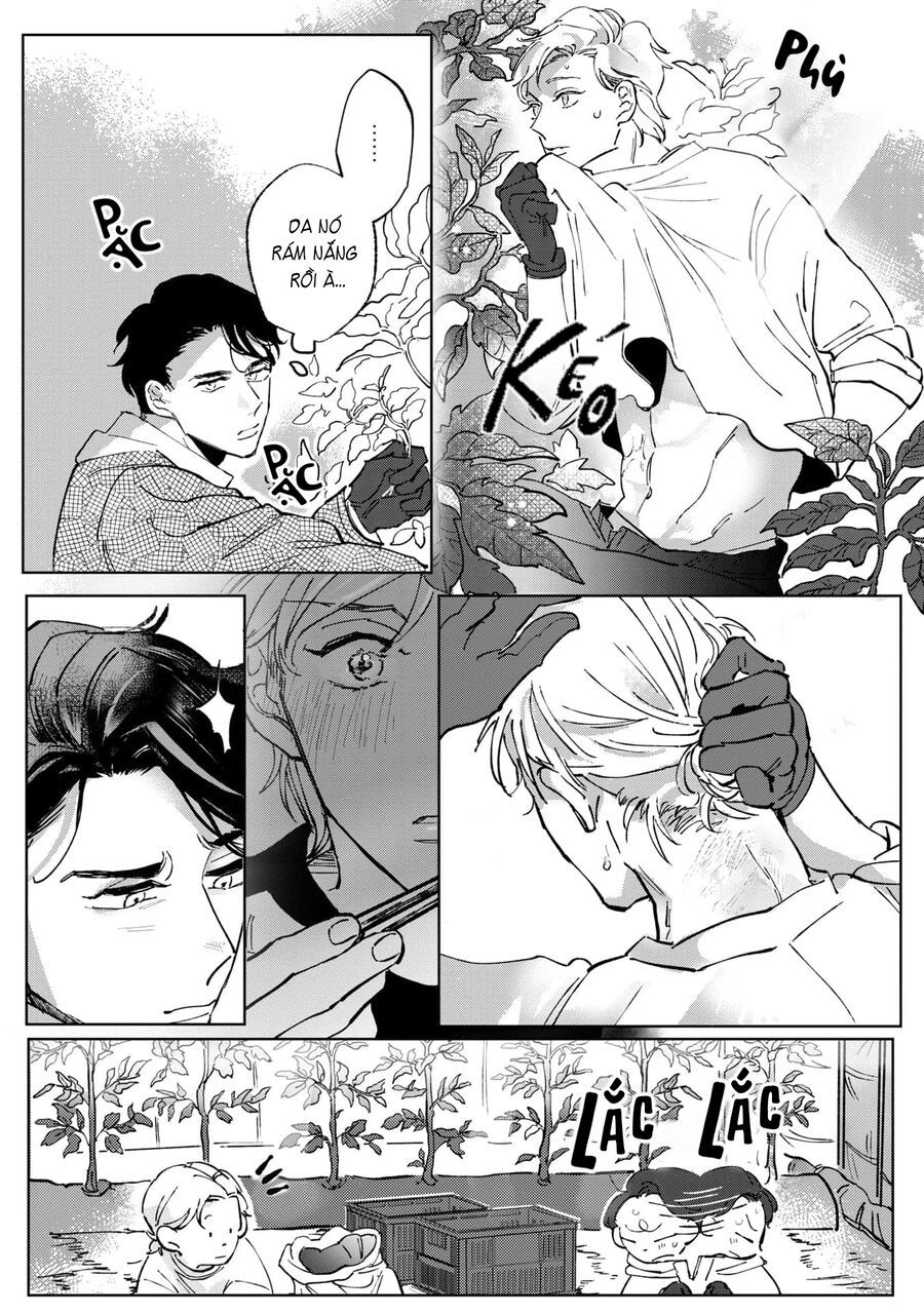 Anh Em Xã Hội Làm Nông Chapter 1 - 19