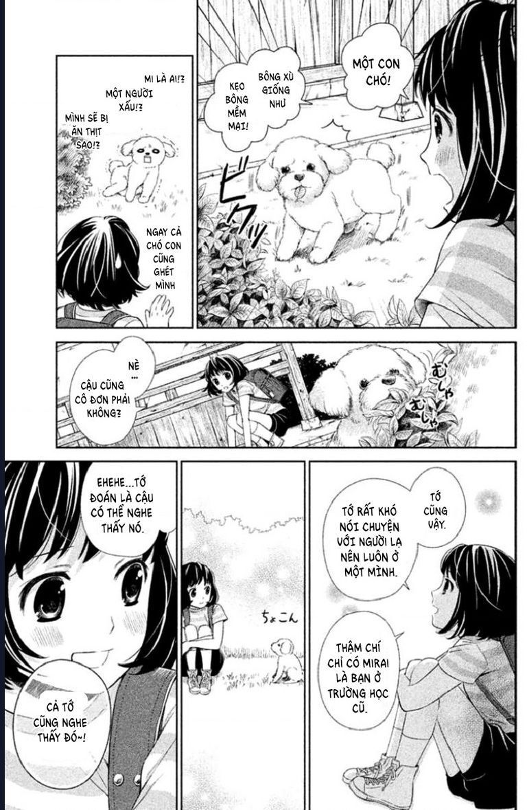 Đằng Sau Sân Trường, Có Một Thiên Sứ Được Chôn Cất Nơi Đây Chapter 1 - 16