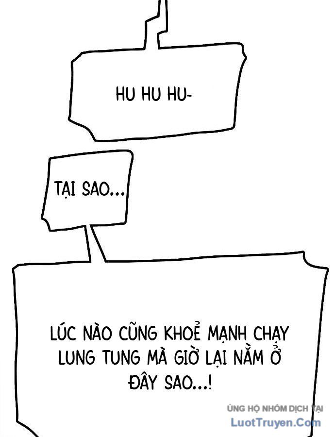 Hổ Giấy Chapter 1 - 135