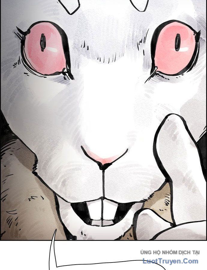 Hổ Giấy Chapter 1 - 31