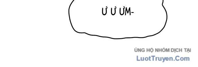 Hổ Giấy Chapter 4 - 274