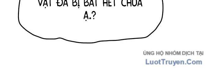 Hổ Giấy Chapter 4 - 278