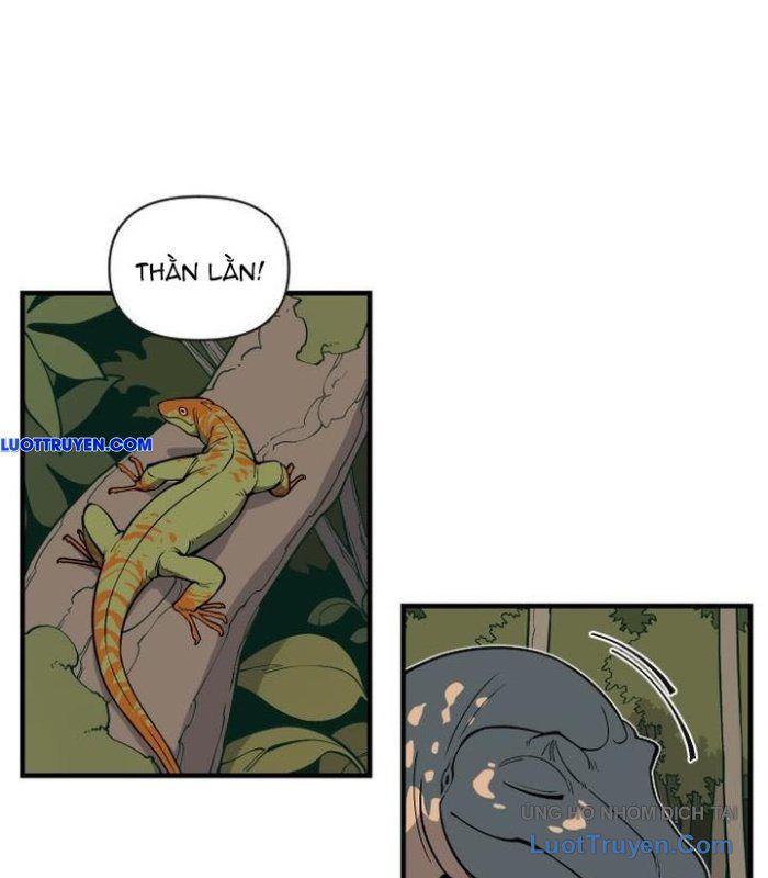 Động Vật Tiền Sử Chapter 3 - 62