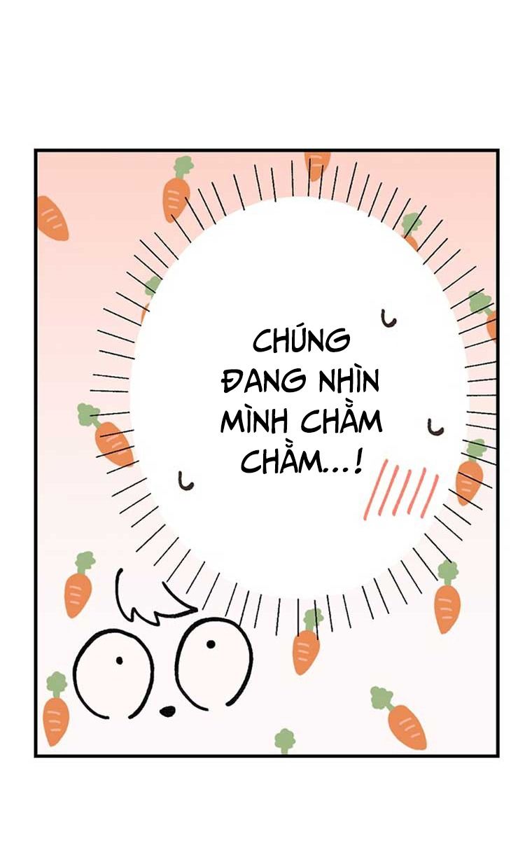 Làm Tình Trong Một Thế Giới Mà Điều Đó Là Điều Cấm Kỵ Chapter 40 - 12