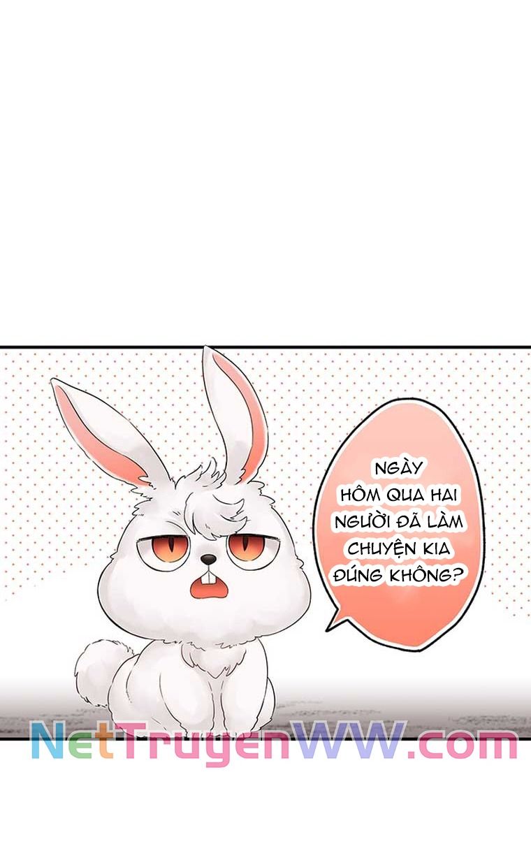 Làm Tình Trong Một Thế Giới Mà Điều Đó Là Điều Cấm Kỵ Chapter 41 - 4