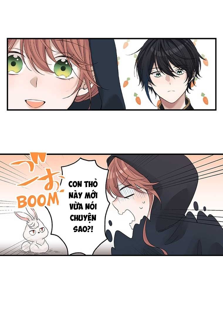 Làm Tình Trong Một Thế Giới Mà Điều Đó Là Điều Cấm Kỵ Chapter 41 - 5