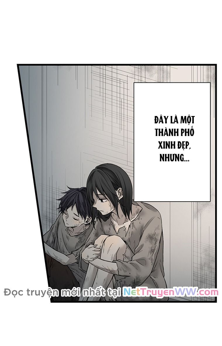 Làm Tình Trong Một Thế Giới Mà Điều Đó Là Điều Cấm Kỵ Chapter 43 - 8