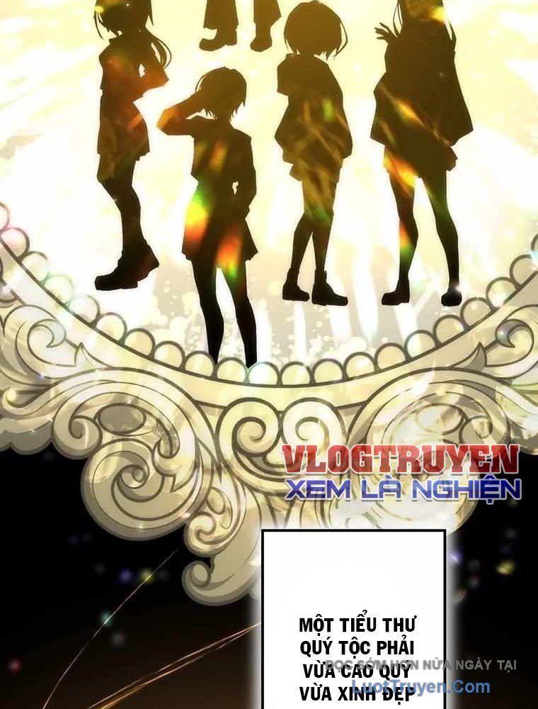 Quý Tộc Chiến Đấu Chapter 1 - 24